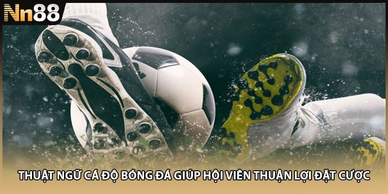 Thuật ngữ cá độ bóng đá giúp hội viên thuận lợi đặt cược