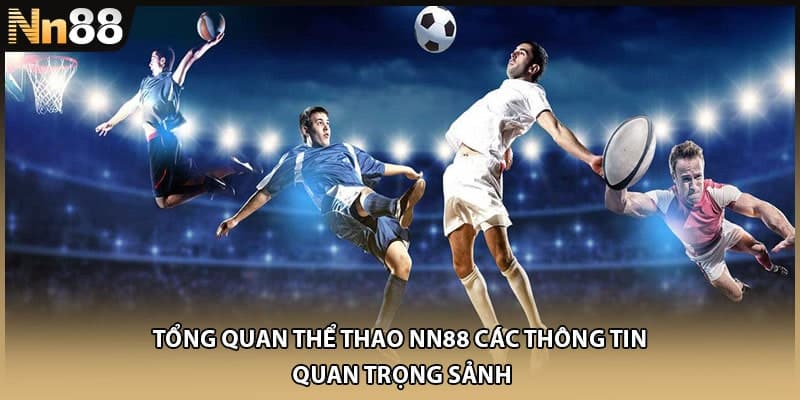 Tổng quan thể thao NN88 các thông tin quan trọng sảnh